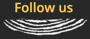 Follow us